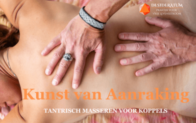 14 & 15 november: Kunst van Aanraking