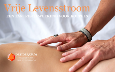 27 t/m 29 november: Vrije Levensstroom